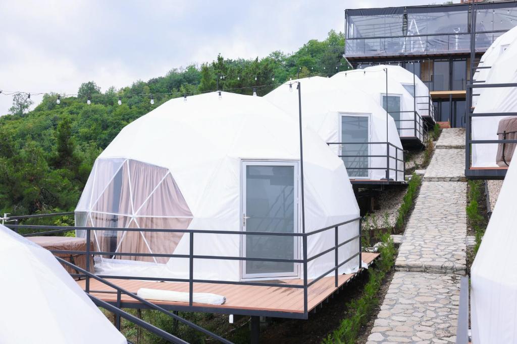 Signagi Glamping